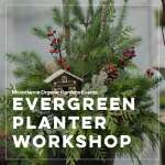 Evergreen Planter example