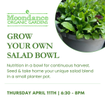 Grow Your Own Salad Bowl