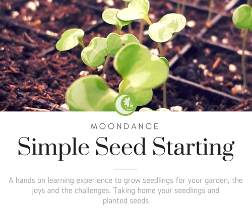 Simple Seed Starting