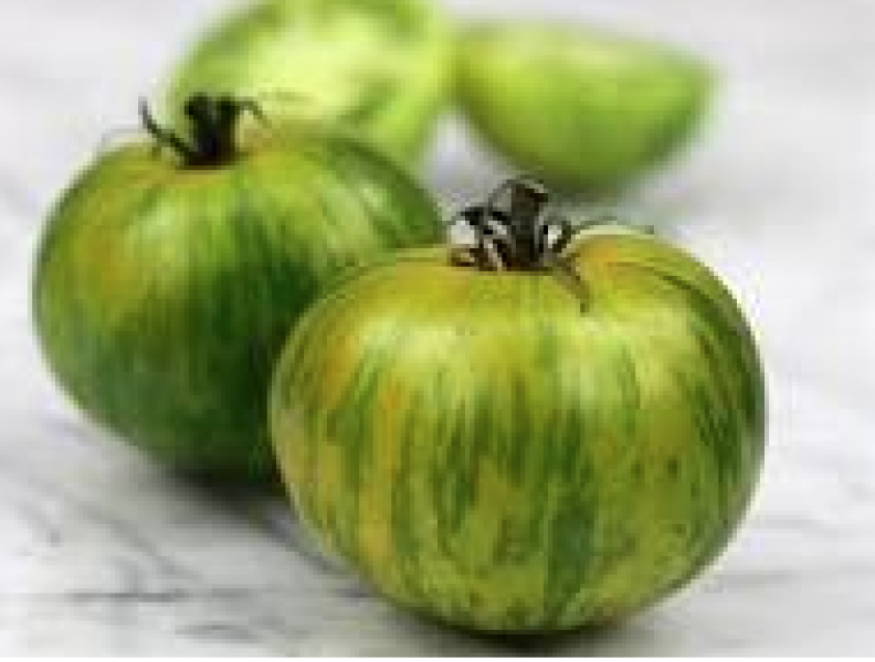 Green Zebra Tomatoes