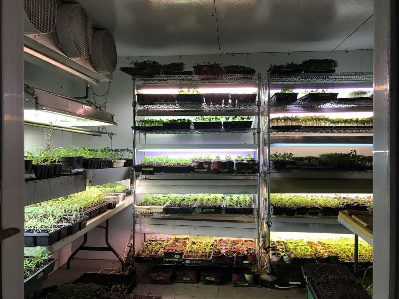 cooler into grow room