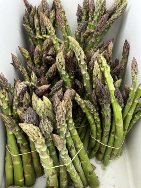 Yummy asparagus 