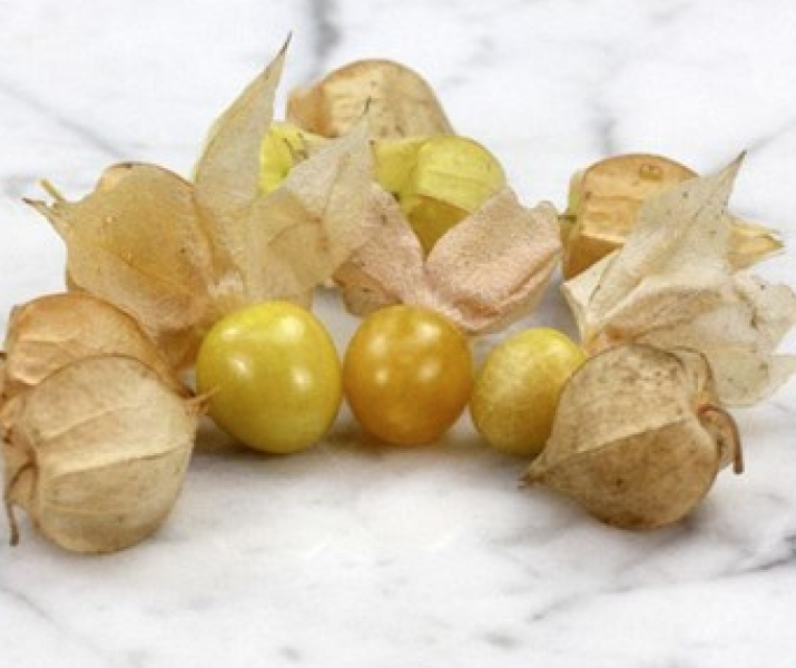 Ground Cherries