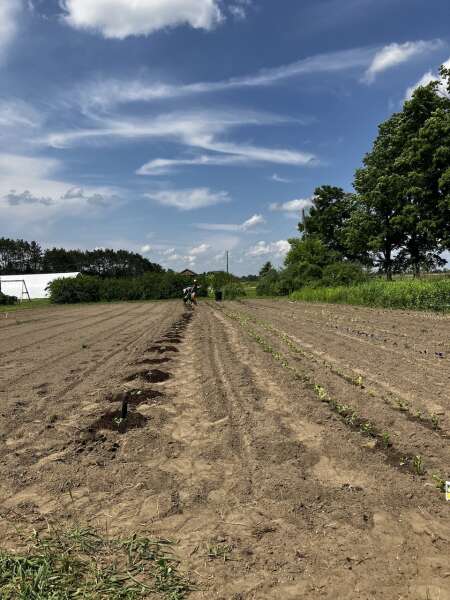 Planting time