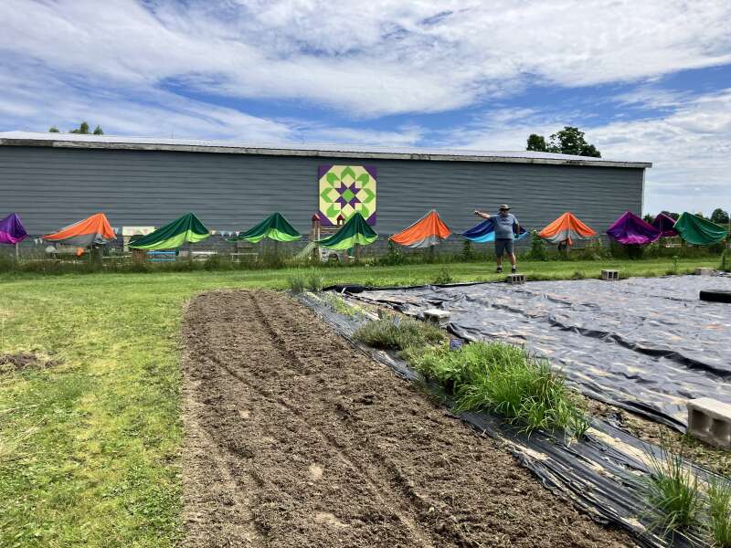 Hammocks getting ready for summer camp with Rewilding