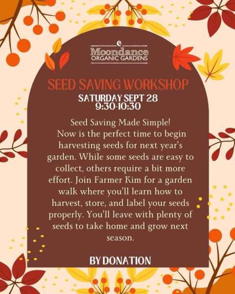 Seed saving workshop