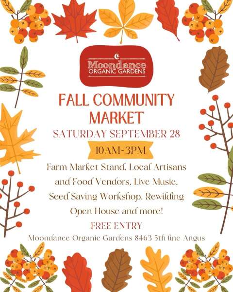 Next Community Market