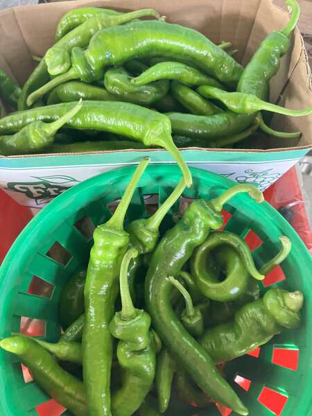 Green chilies anyone