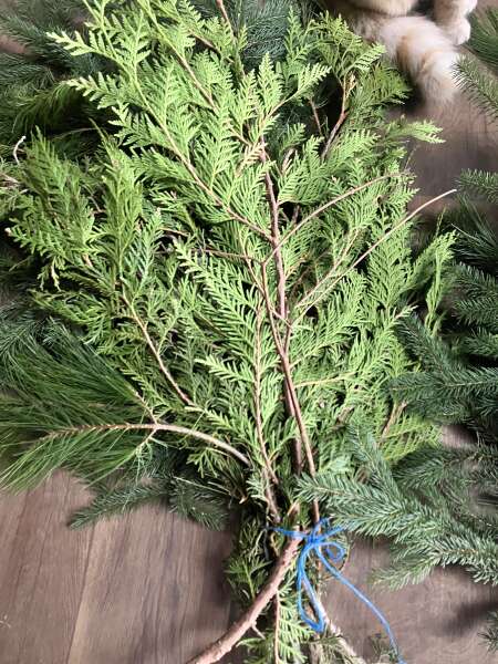 Mixed evergreen bundles