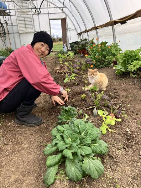 Greenhouse planting for the winter