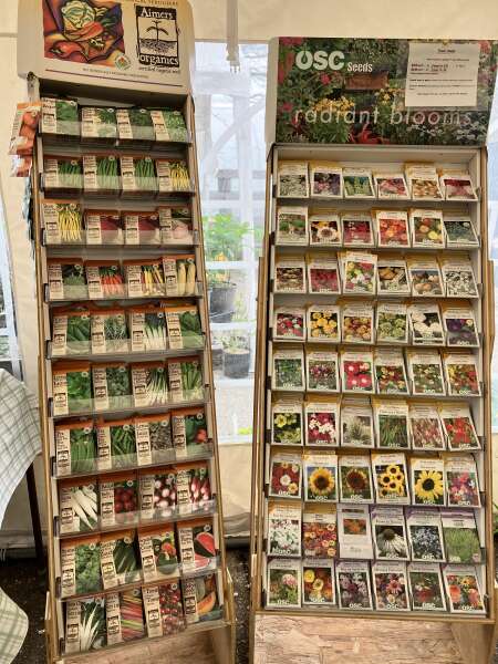 Seed abundance