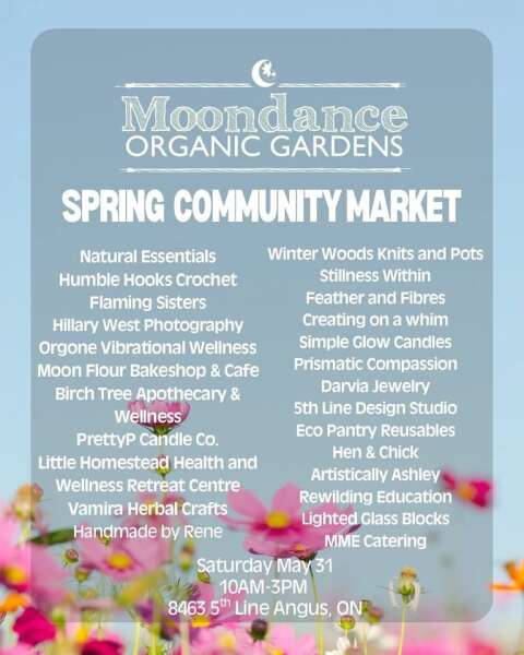 Amazing vendors
