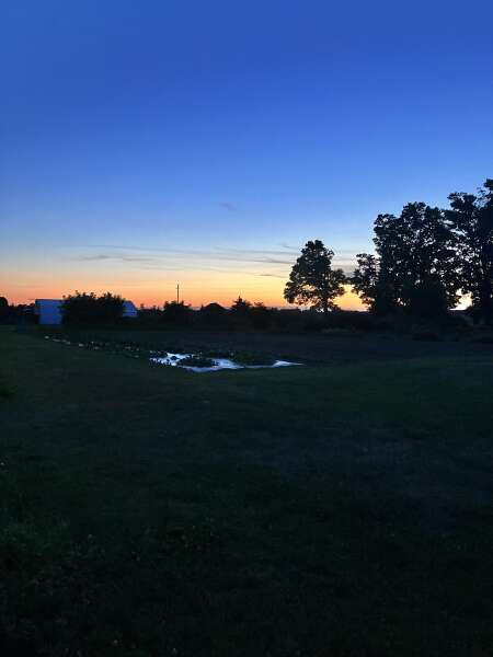 Evening at the farm