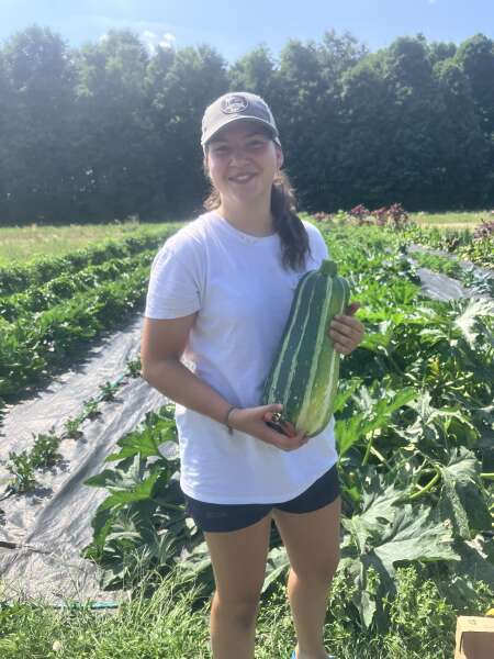 Lucy picking zucchini.