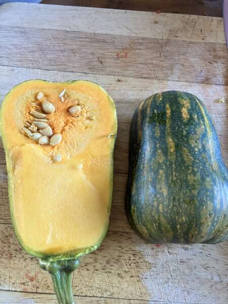 Honey baby butternut squash