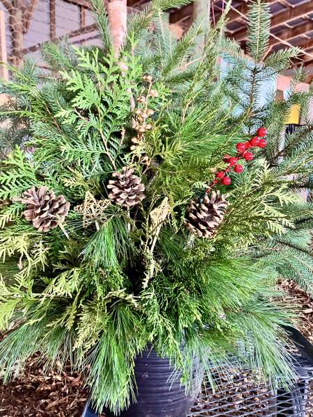 Evergreen Planter. Order now