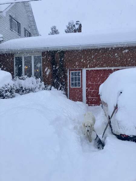 Clearing as it covers