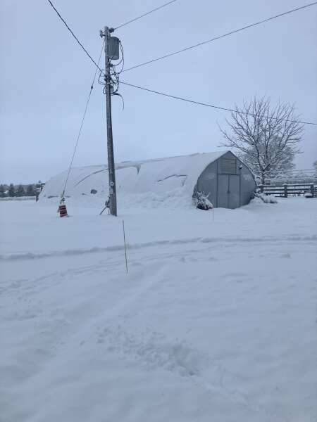 Snow buildup alway a issue on a greenhouse