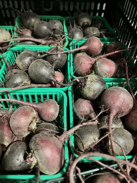 Topped beets