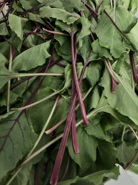 Beet greens