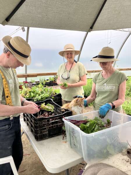 Wonderful volunteers