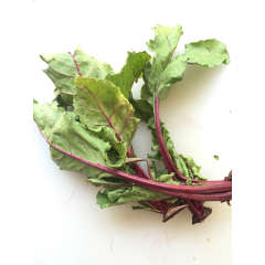 Beet Greens Beet Greens