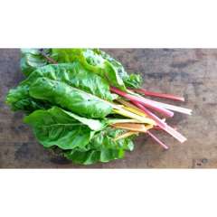 Rainbow Swiss Chard Rainbow Swiss Chard