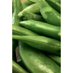 Sugar Snap Sugar Snap