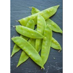 Snow Pea Seedlings Snow Pea Seedlings