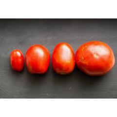 Paste Tomatoes Seedlings