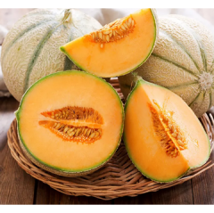 Heart of Gold Cantaloupe Plant Heart of Gold Cantaloupe Plant