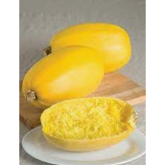 Vegetable Spaghetti Squash Plant Vegetable Spaghetti Squash Plant