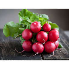 Radish, fresh bunch Radish, fresh bunch