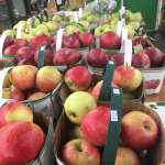 Organic apples 
