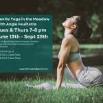 Sacred Space Yoga and Meditation Weekly Yoga Classes and Special Events