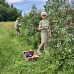 Wonderful cherry pickers