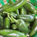 Hot peppers