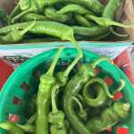 Green chilies anyone