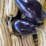 Eggplant and delicata squash