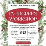 Evergreen Planter Workshop