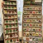 Seed abundance
