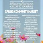 Amazing vendors