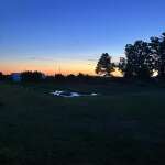 Evening at the farm
