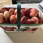 Saturn or donut sweet peaches