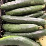 Cucumber abundance