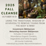Cleanse Details
