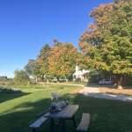 Trees are turning!