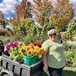 Happy Thanksgiving, Fall produce, Flowers and more