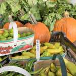 Hot peppers, pumpkin and beets