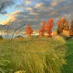 Beautiful October coming to a close, Sale on produce